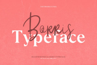Borris: A Font That Brings Your Creations to Life