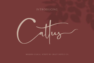 Cattus: The Modern Script Font for Powerful Digital Communication