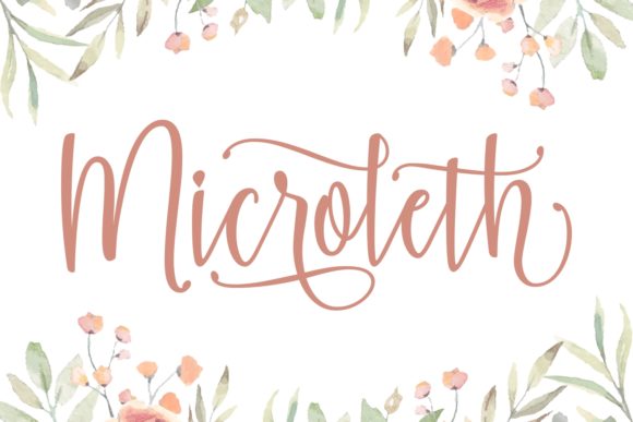 Microleth: A Script Font for Editorial Elegance
