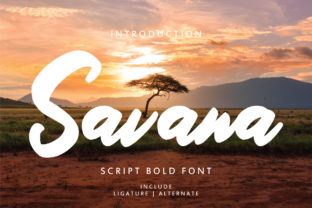 Savana: A Font That Makes Your Creations Stand Out